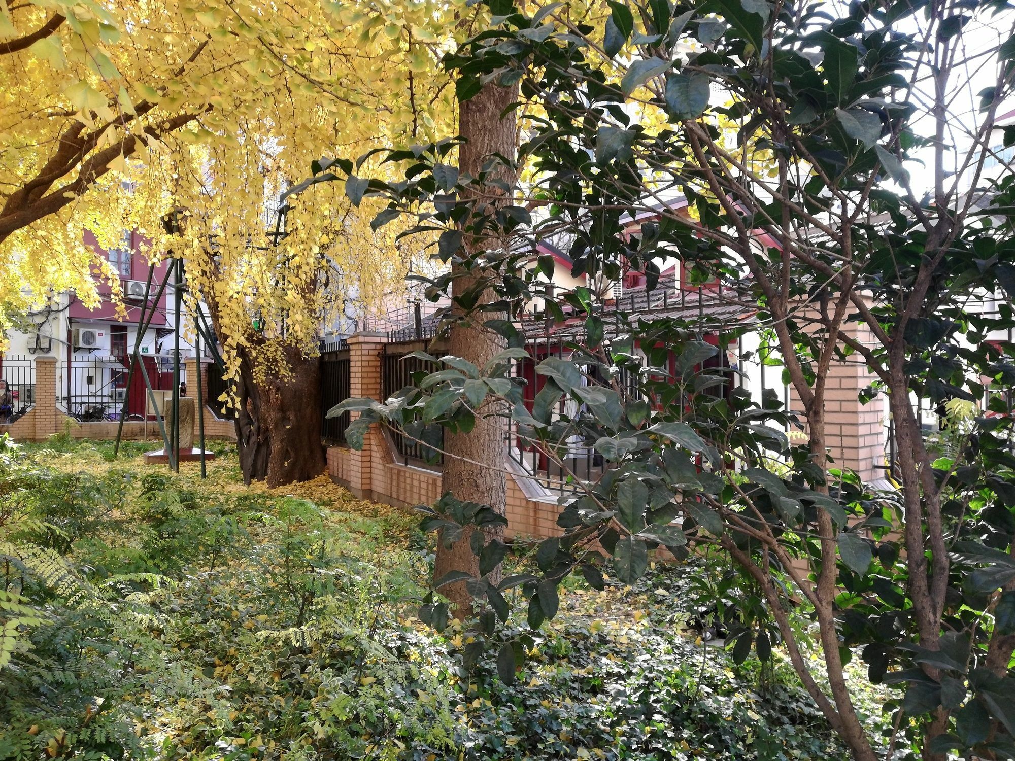 Shanghai Chi Chen Boutique Hotel Dış mekan fotoğraf